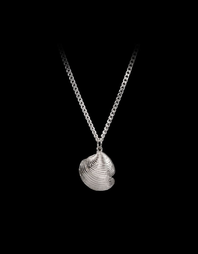 Treasure Shell Necklace