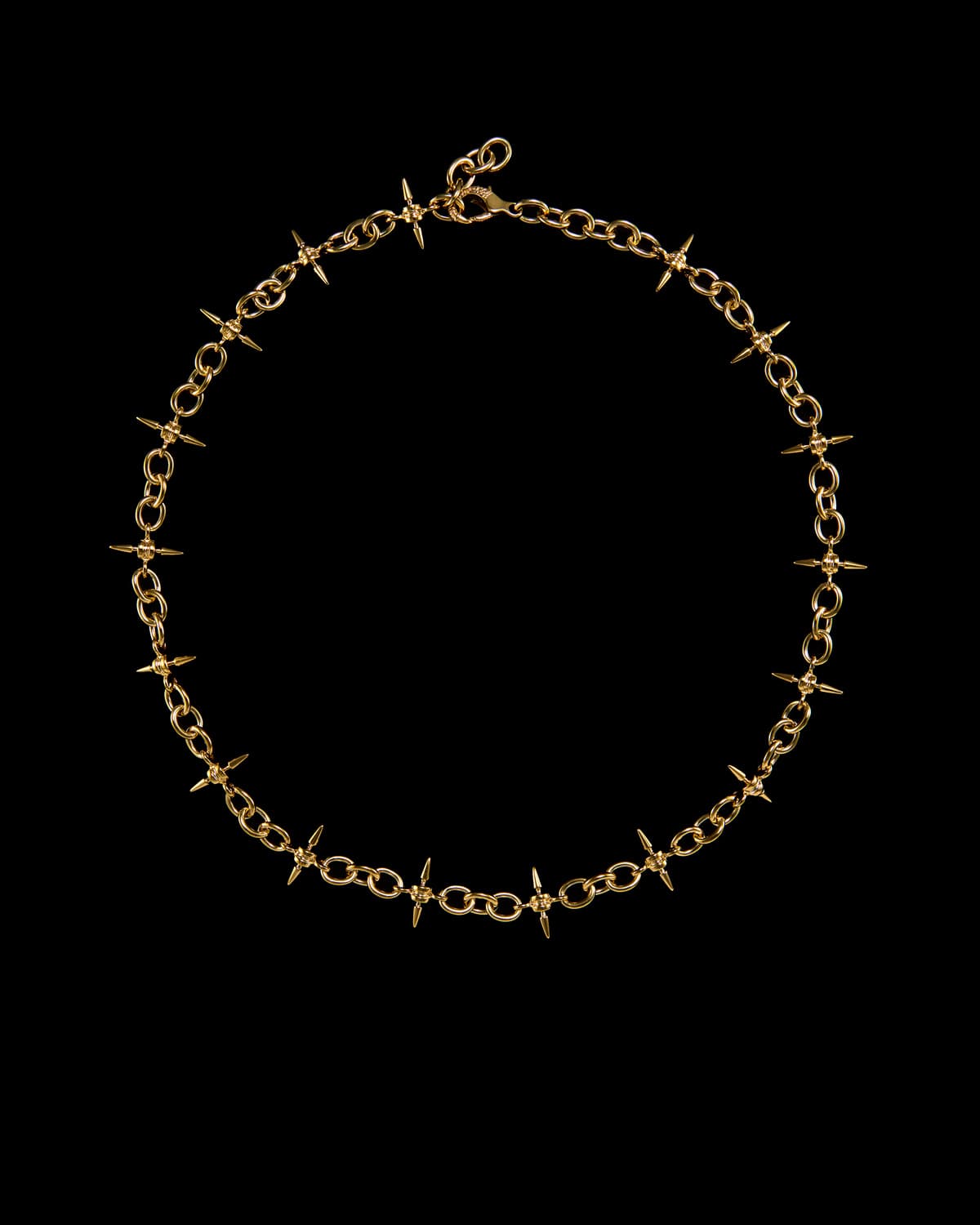 Renaissance Chain Long Necklace